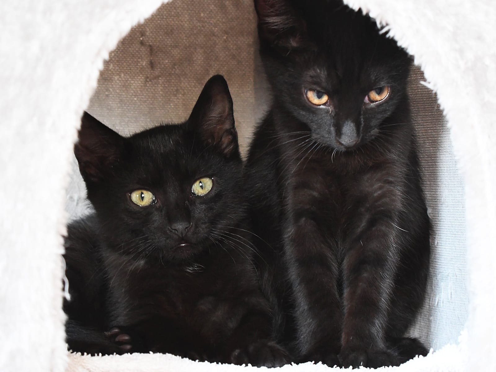 Arthur & Käthe